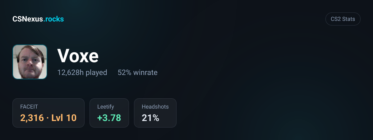 CS2 stats card for Voxe