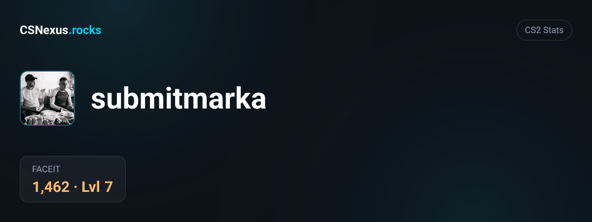 CS2 stats for submitmarka