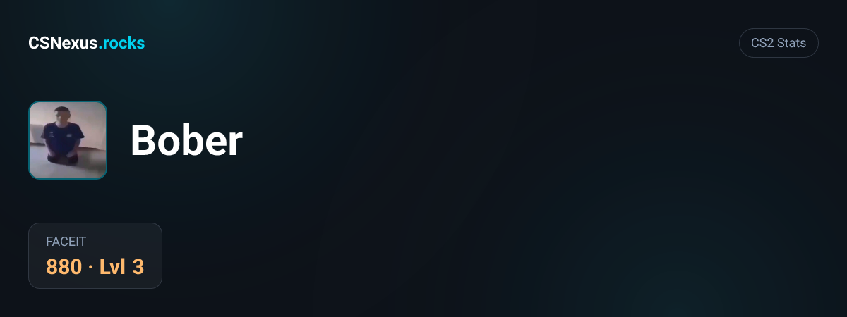 CS2 stats for Bober