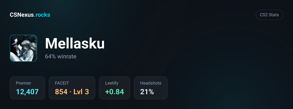 CS2 stats for Mellasku