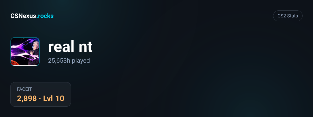 CS2 stats for real nt