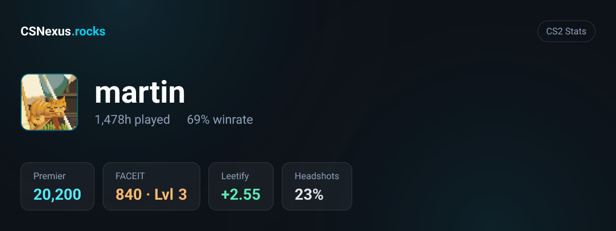 CS2 stats card for martin