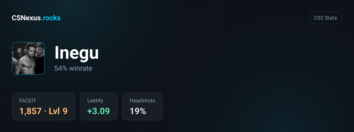 CS2 stats for Inegu