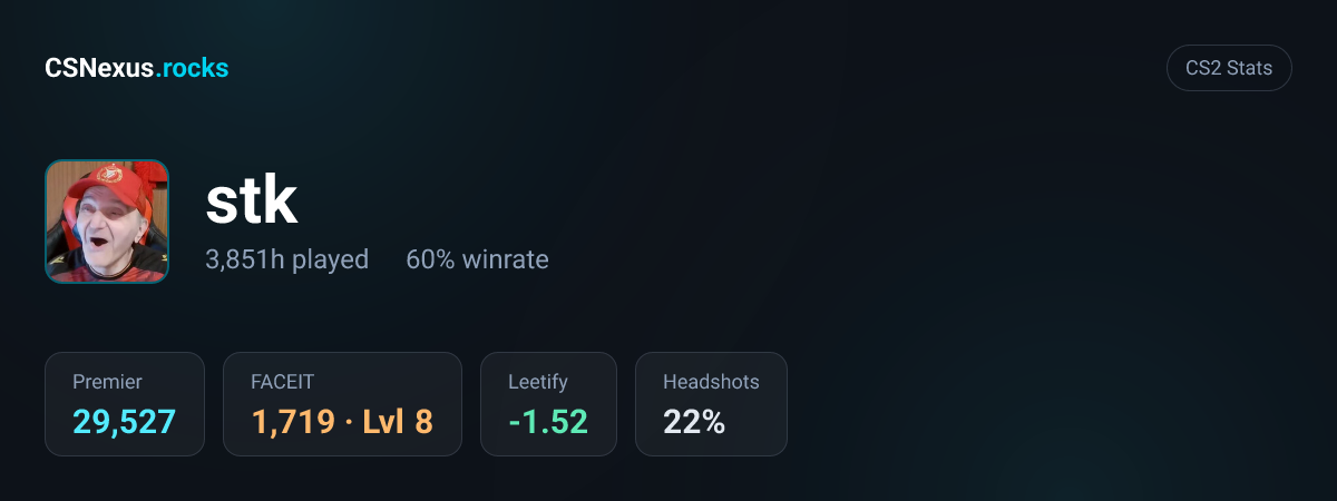 CS2 stats card for stk
