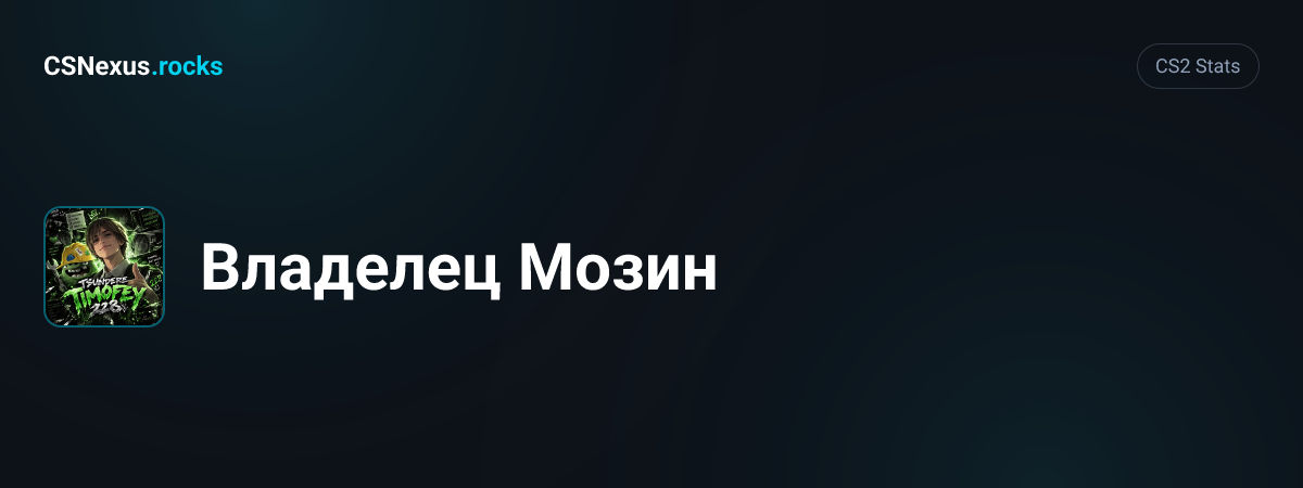 CS2 stats card for Владелец Мозин