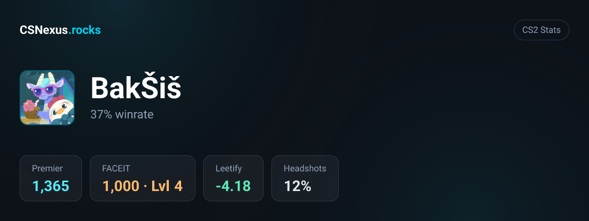 CS2 stats card for BakŠiš