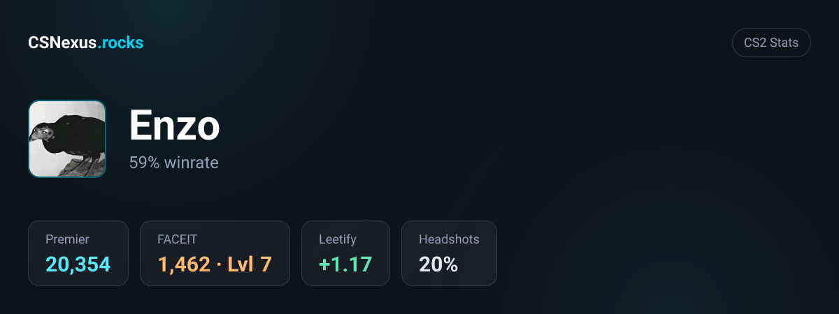 CS2 stats for Enzo