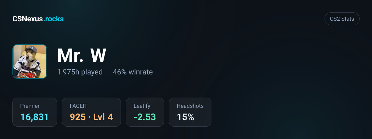 CS2 stats card for Mr. W