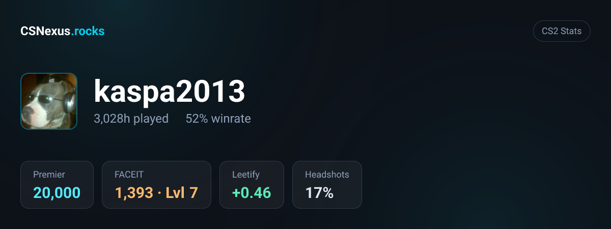 CS2 stats for kaspa2013