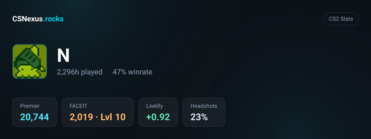 CS2 stats card for N