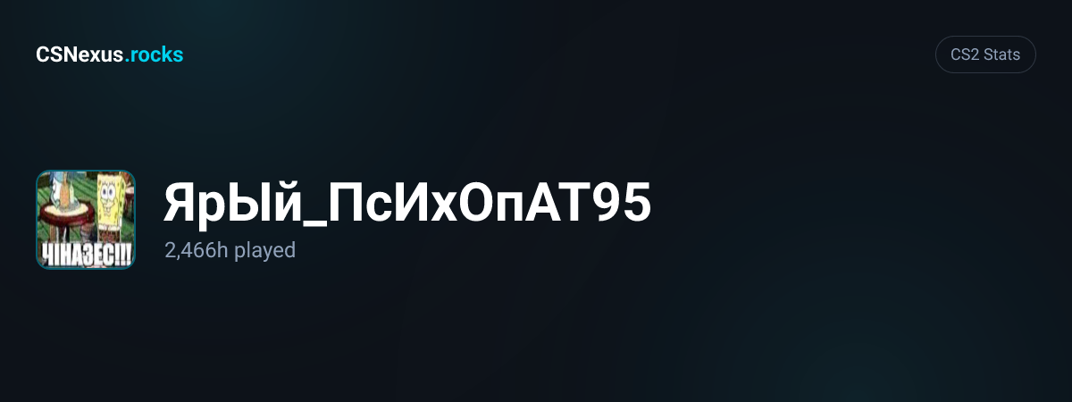 CS2 stats for ЯрЫй_ПсИхОпАТ95
