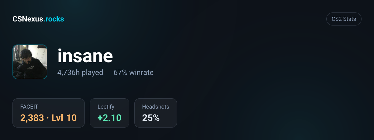 CS2 stats card for insane