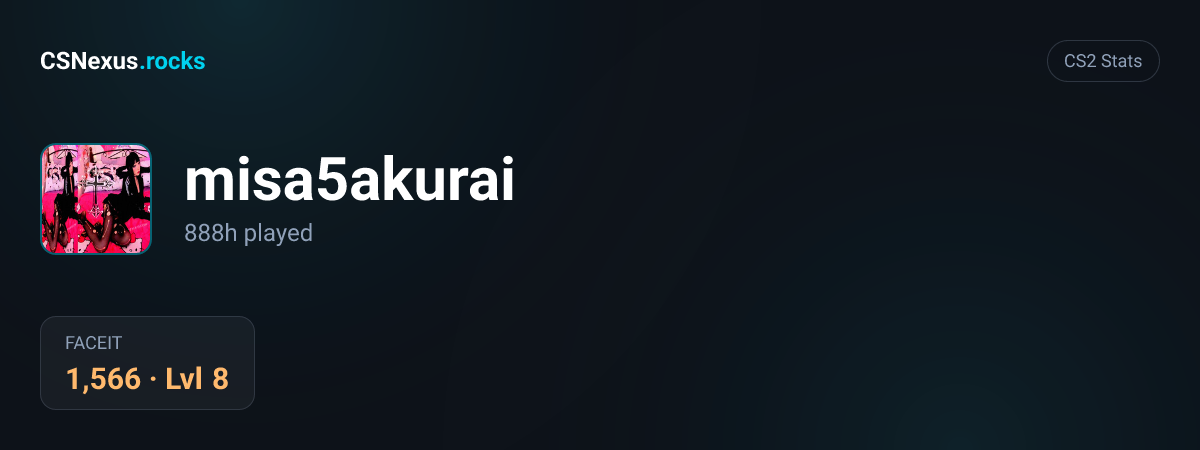 CS2 stats for misa5akurai