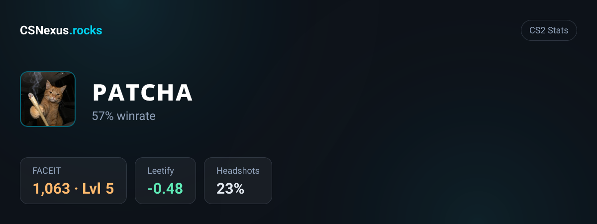 CS2 stats for ᴘᴀᴛᴄʜᴀ