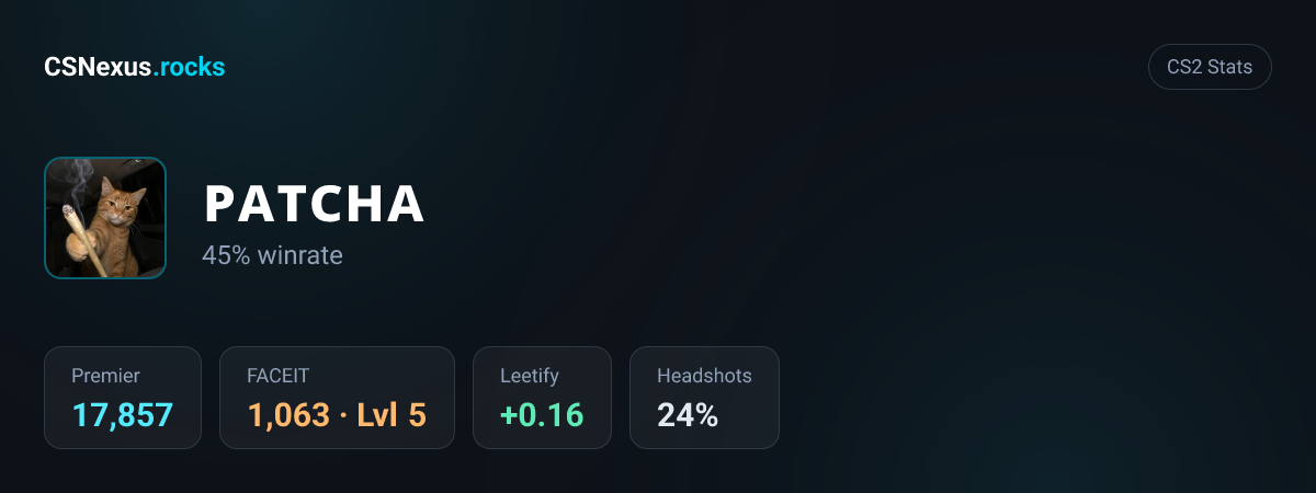 CS2 stats card for ᴘᴀᴛᴄʜᴀ