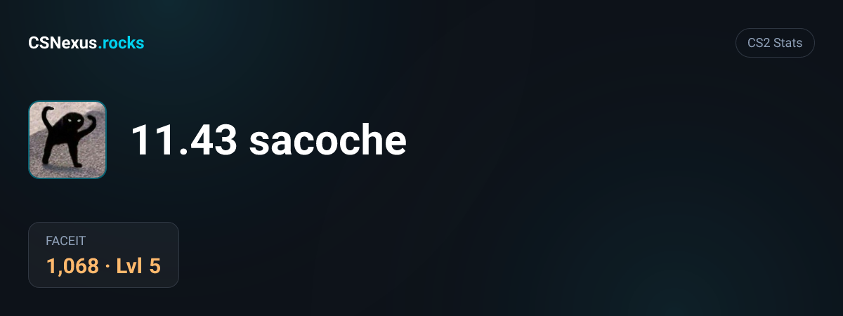 CS2 stats card for 11.43 sacoche