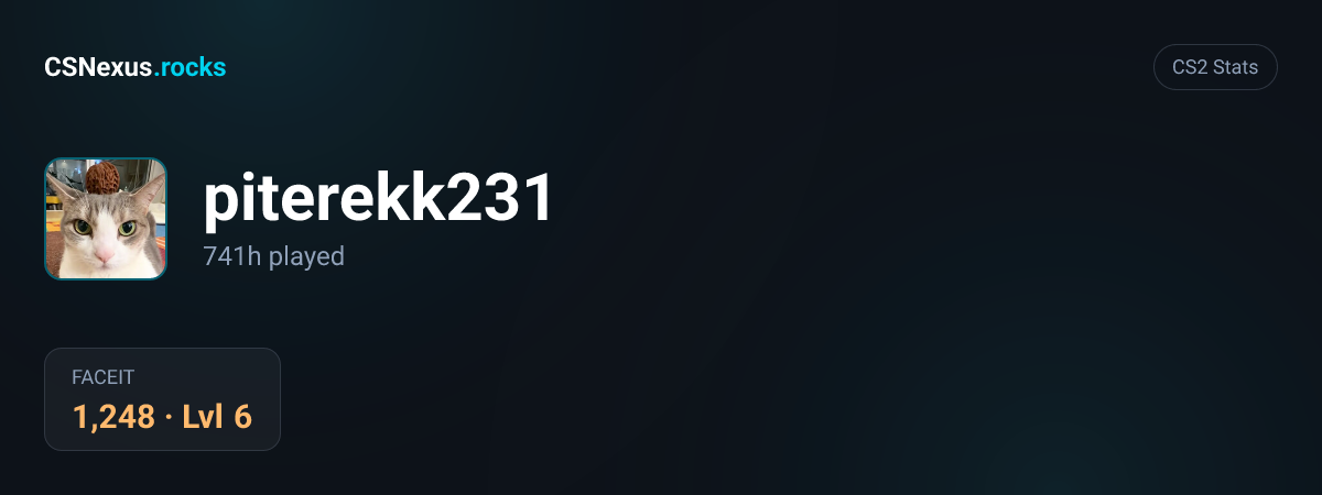 CS2 stats card for piterekk231