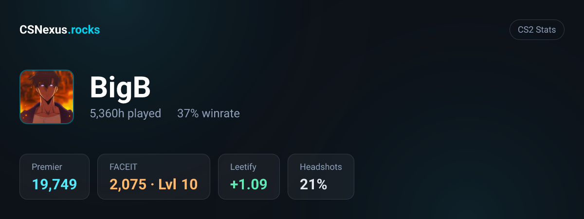 CS2 stats card for BigB