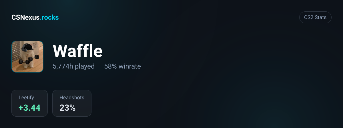 CS2 stats card for Waffle