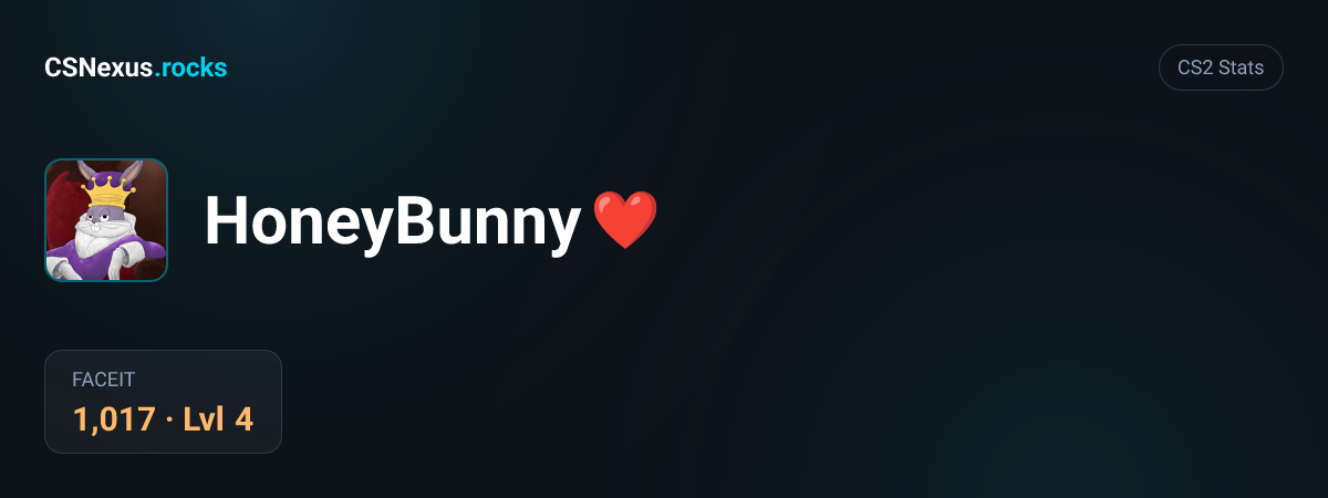 CS2 stats card for HoneyBunny ❤