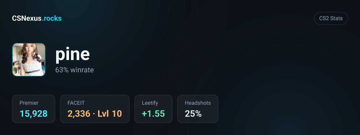 CS2 stats card for pine