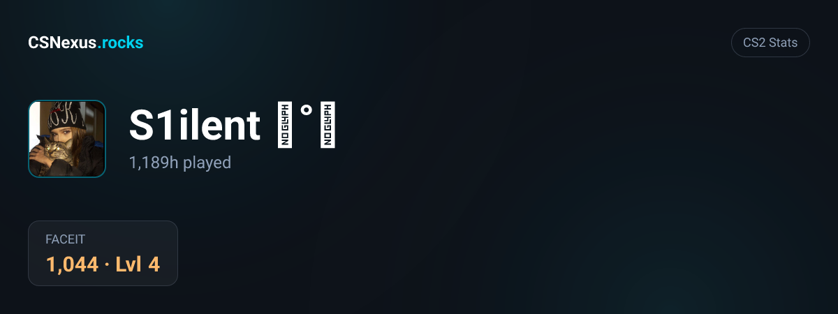 CS2 stats for S1ilent ⋆˚࿔