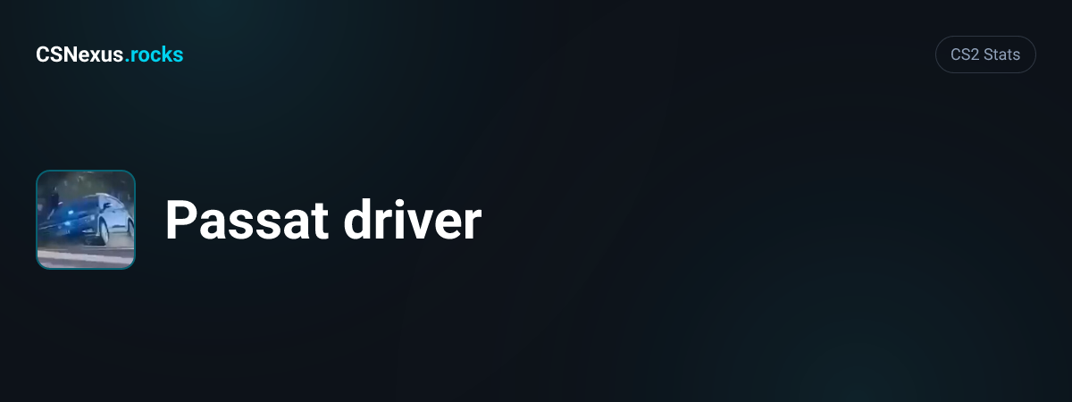 CS2 stats card for Passat driver