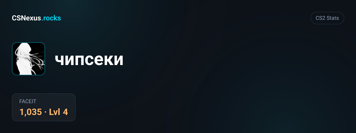 CS2 stats card for чипсеки