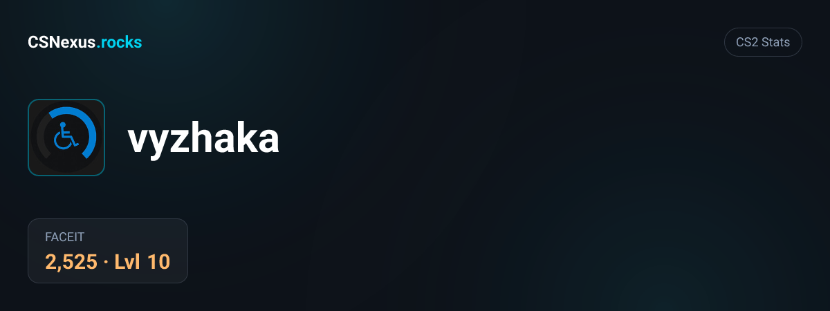 CS2 stats for vyzhaka