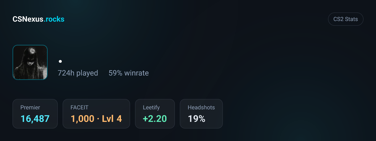 CS2 stats card for .