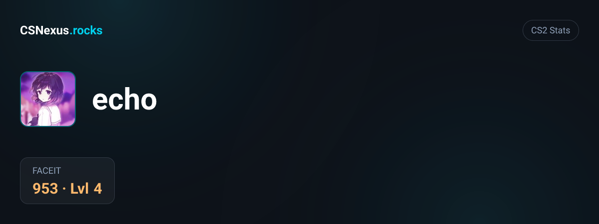 CS2 stats for echo
