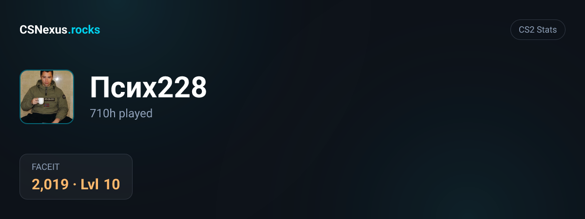 CS2 stats card for Псих228