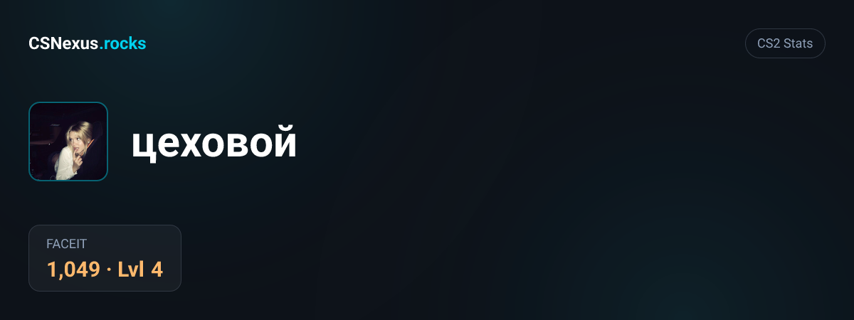 CS2 stats card for цеховой