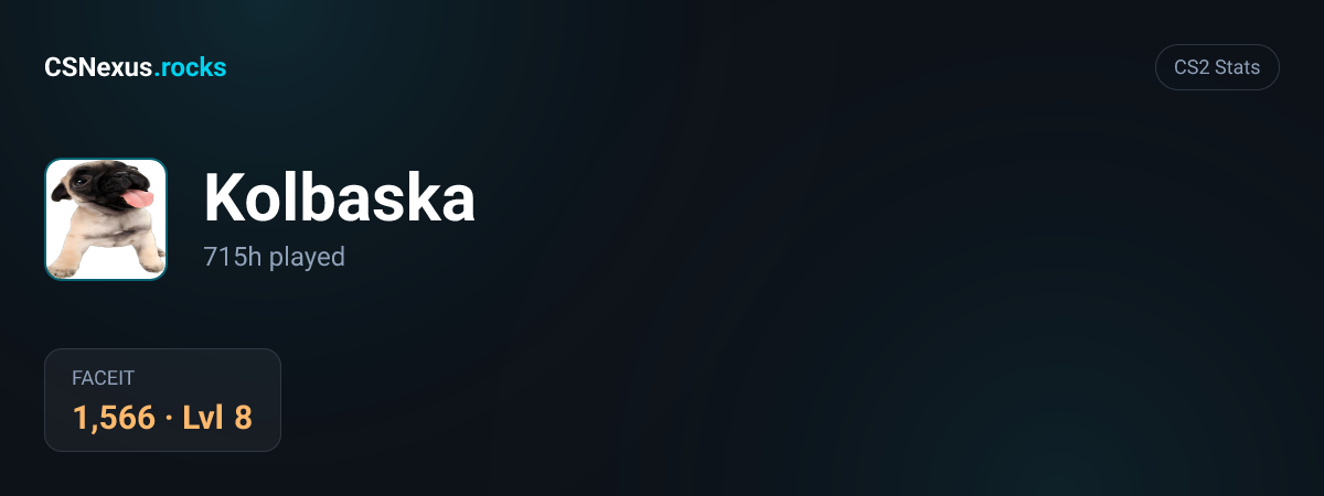 CS2 stats for Kolbaska
