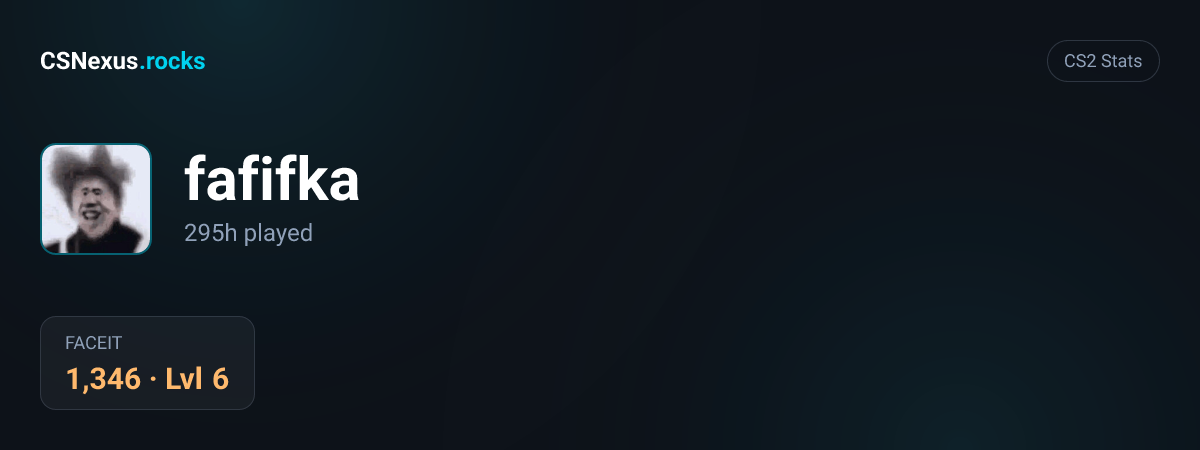 CS2 stats for fafifka