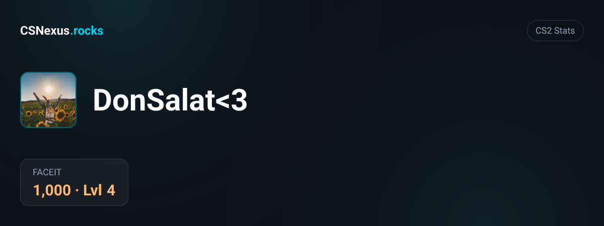 CS2 stats card for DonSalat<3