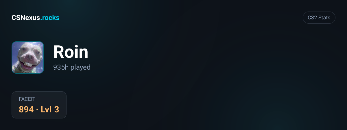 CS2 stats for Roin